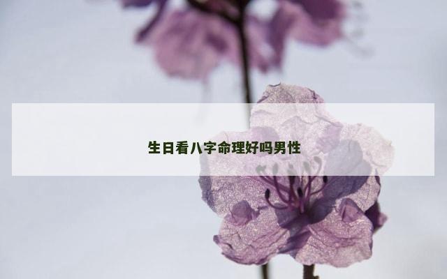 生日看八字命理好吗男性