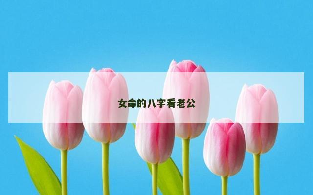 女命的八字看老公