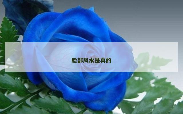 脸部风水是真的