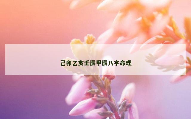 己卯乙亥壬辰甲辰八字命理