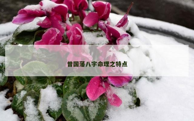 曾国藩八字命理之特点