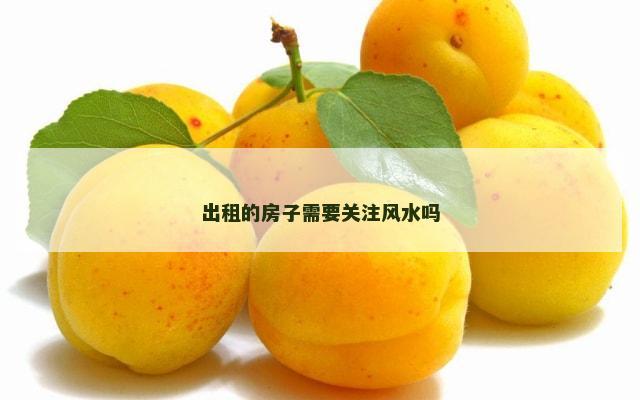 出租的房子需要关注风水吗