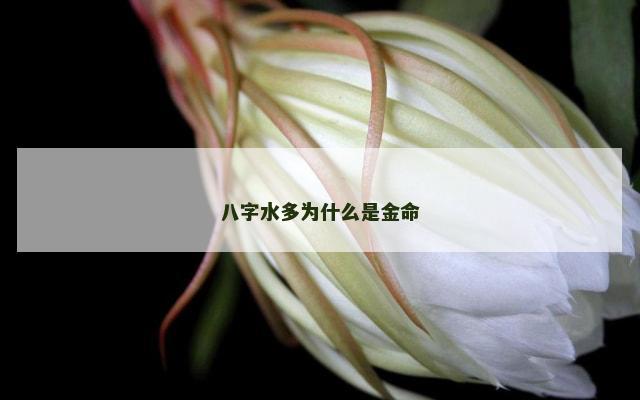 八字水多为什么是金命