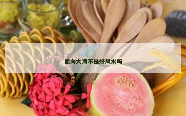 面向大海不是好风水吗