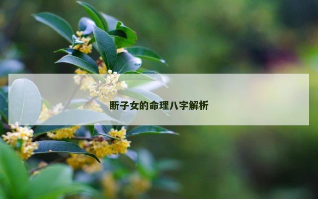 断子女的命理八字解析
