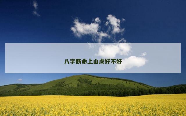 八字断命上山虎好不好