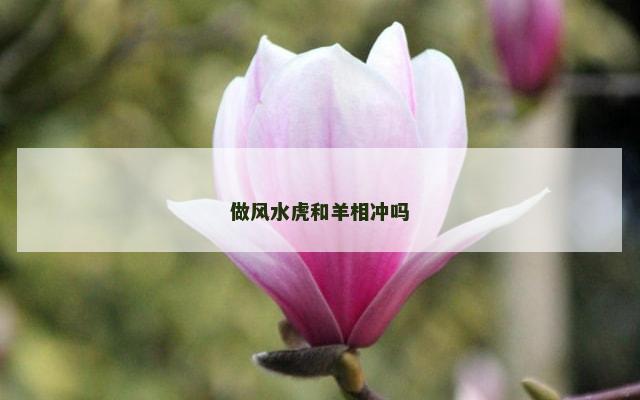 做风水虎和羊相冲吗