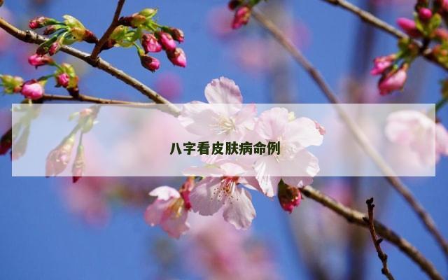 八字看皮肤病命例