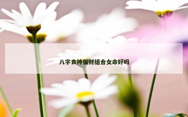 八字食神偏财组合女命好吗