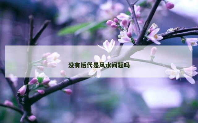 没有后代是风水问题吗