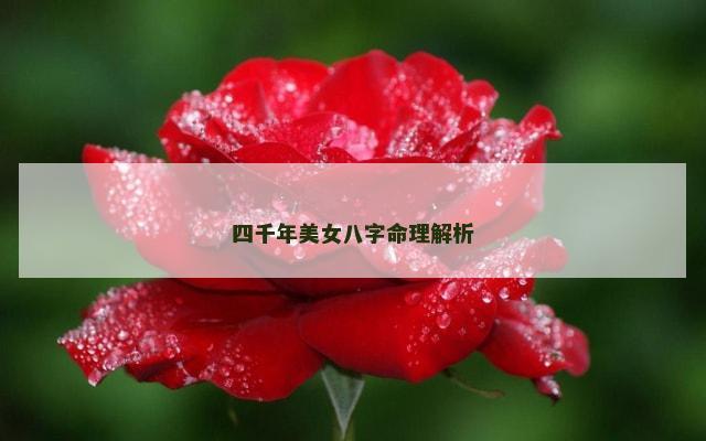 四千年美女八字命理解析