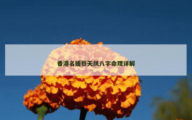 香港名媛蔡天凤八字命理详解