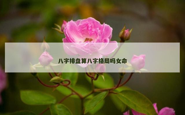 八字排盘算八字格局吗女命