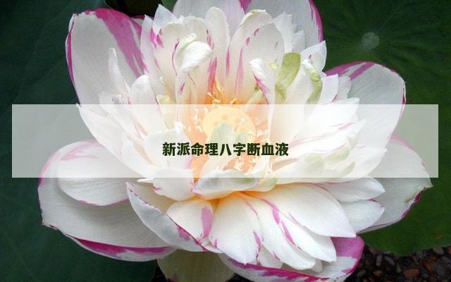 新派命理八字断血液