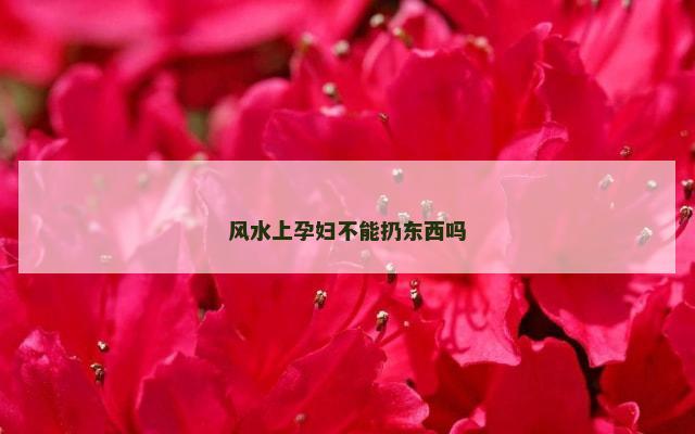 风水上孕妇不能扔东西吗