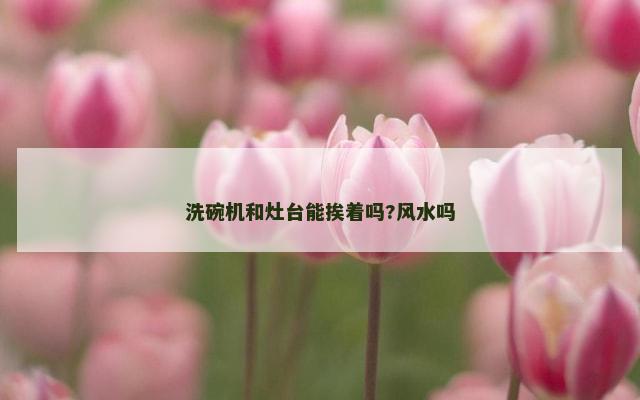 洗碗机和灶台能挨着吗?风水吗