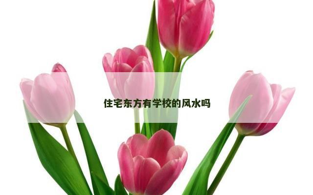 住宅东方有学校的风水吗