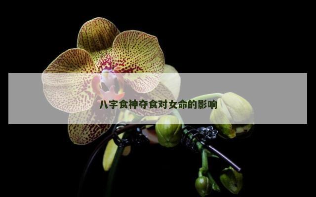 八字食神夺食对女命的影响