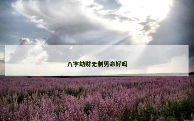 八字劫财无制男命好吗