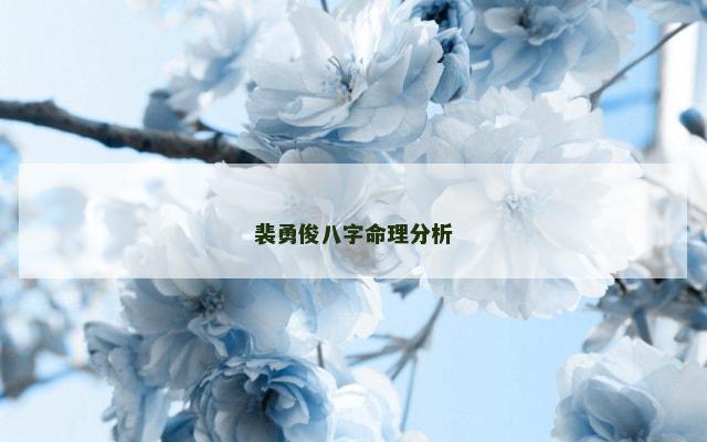 裴勇俊八字命理分析