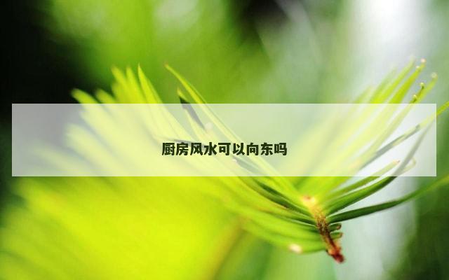 厨房风水可以向东吗