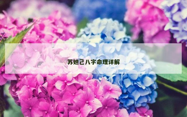 苏妲己八字命理详解