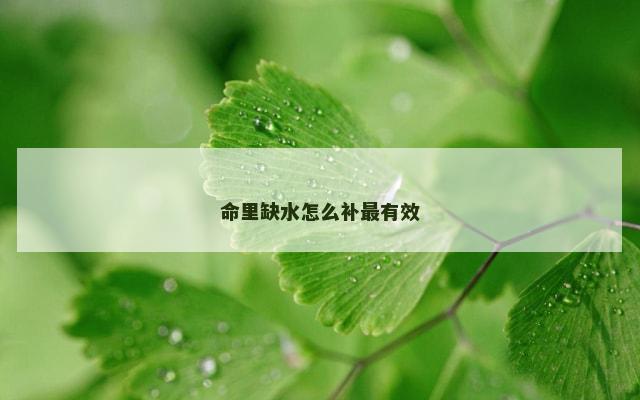 命里缺水怎么补最有效