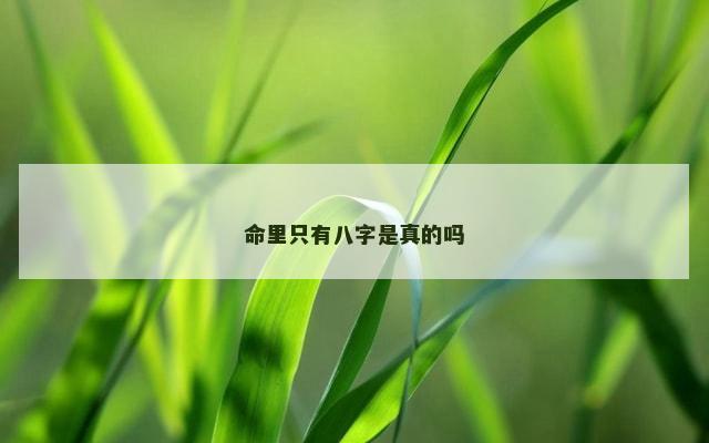 命里只有八字是真的吗