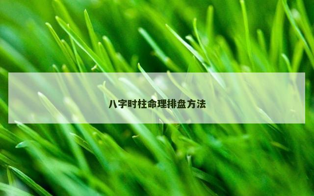 八字时柱命理排盘方法