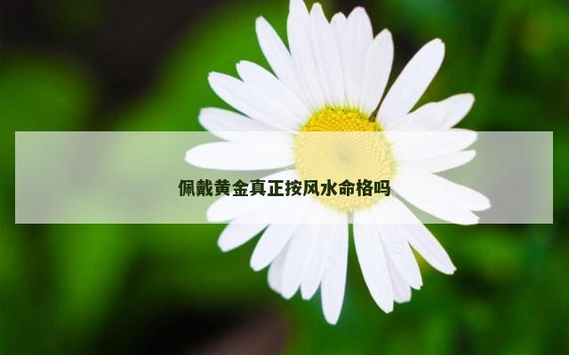 佩戴黄金真正按风水命格吗