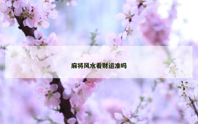 麻将风水看财运准吗