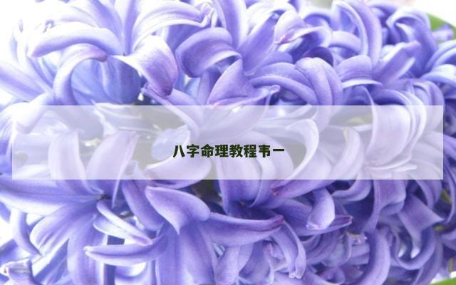 八字命理教程韦一