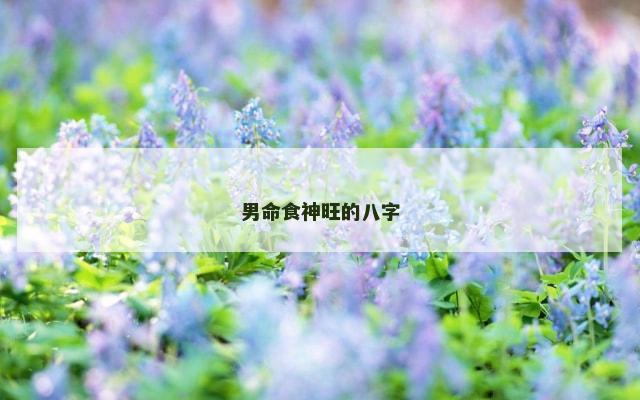 男命食神旺的八字