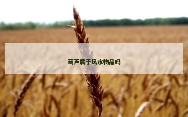 葫芦属于风水物品吗