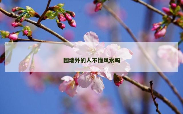围墙外的人不懂风水吗