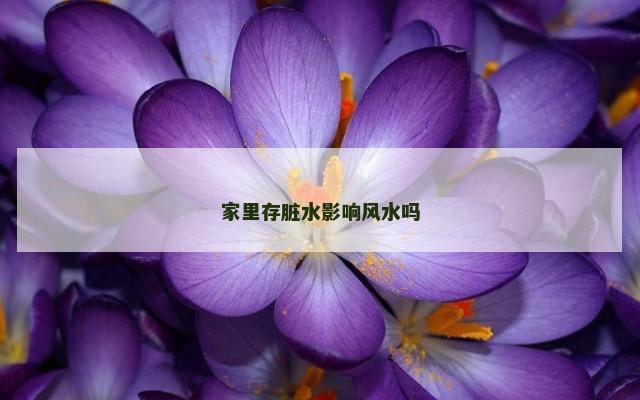 家里存脏水影响风水吗