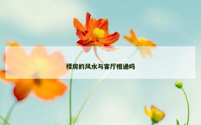 楼房的风水与客厅相通吗