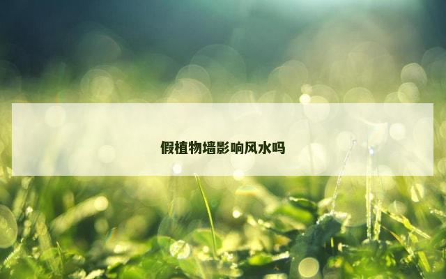 假植物墙影响风水吗