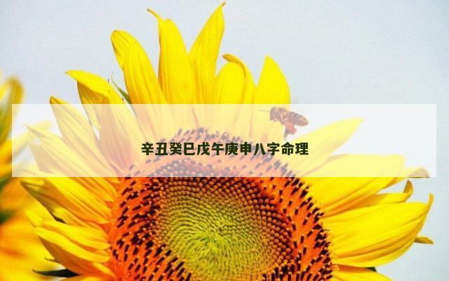 辛丑癸巳戊午庚申八字命理