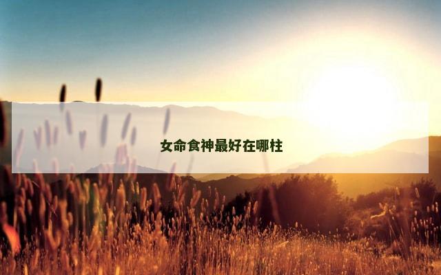 女命食神最好在哪柱