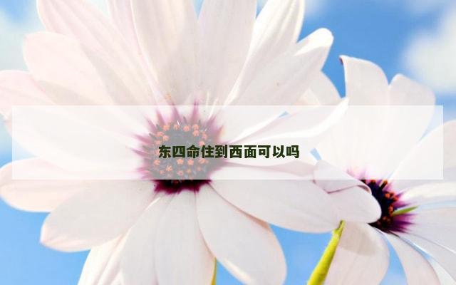 东四命住到西面可以吗