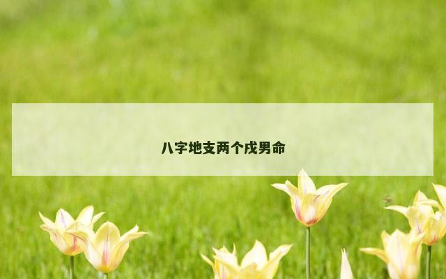 八字地支两个戌男命