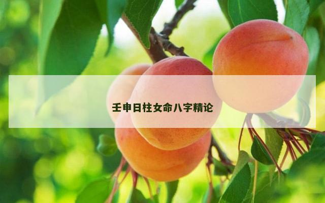壬申日柱女命八字精论