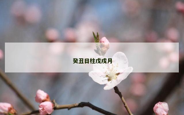 癸丑日柱戊戌月