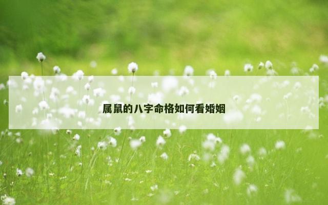 属鼠的八字命格如何看婚姻
