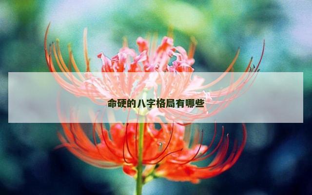 命硬的八字格局有哪些