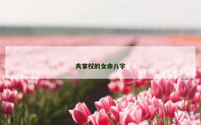夫掌权的女命八字