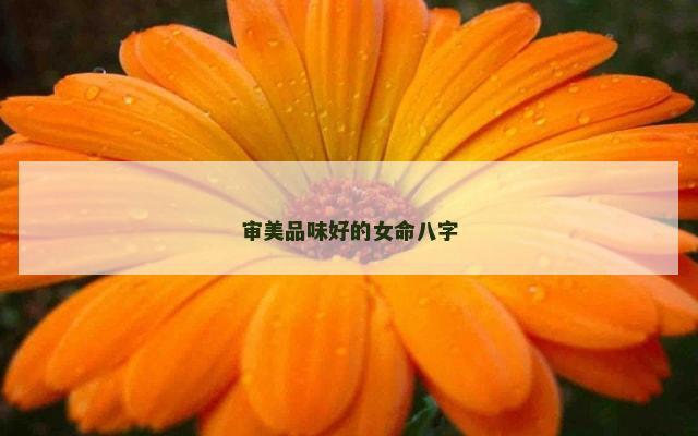 审美品味好的女命八字