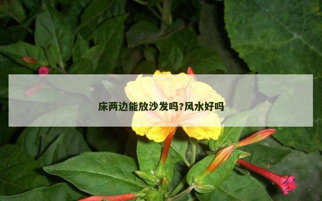 床两边能放沙发吗?风水好吗