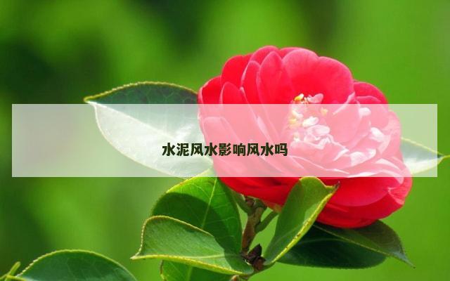 水泥风水影响风水吗
